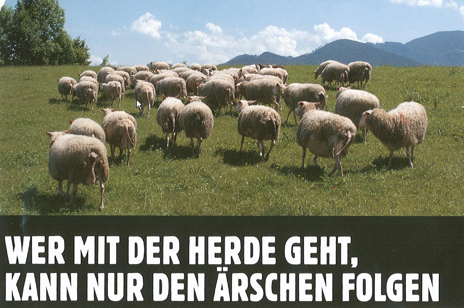 Weisheit des Tages